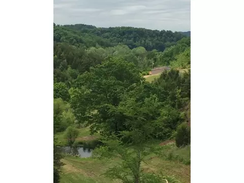 1070 Roaring Fork Road Greeneville Tn 37745, Greeneville, TN 37745 photo 8