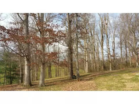210 Easterly Drive Greeneville Tn 37743, Greeneville, TN 37743 photo 25