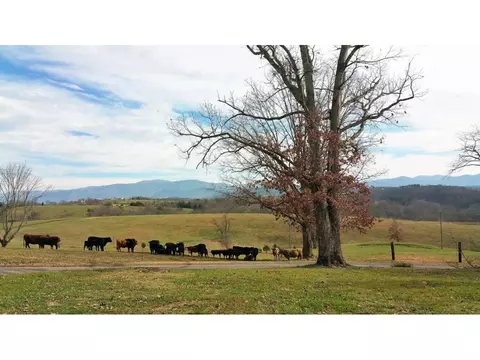 210 Easterly Drive Greeneville Tn 37743, Greeneville, TN 37743 photo 20