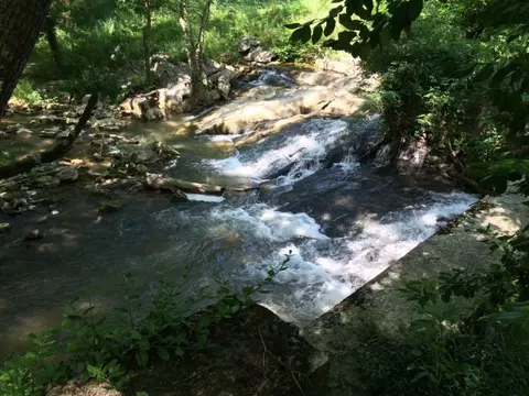 164 Taylor Mill Road Limestone Tn 37681, Limestone, TN 37681 photo 32