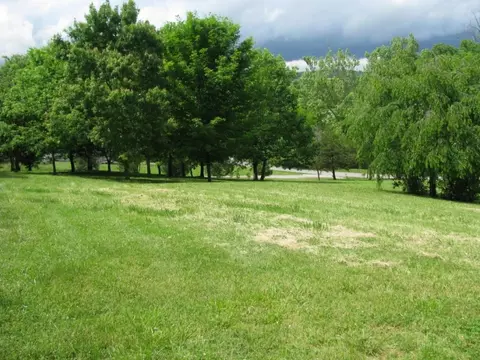 174 Culver Road Limestone Tn 37681, Limestone, TN 37681 photo 2