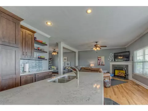 211 Ridgeview Meadows Drive Gray Tn 37615, Gray, TN 37615 photo 13