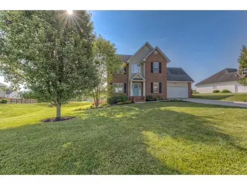 211 Ridgeview Meadows Drive Gray Tn 37615, Gray, TN 37615 photo 1