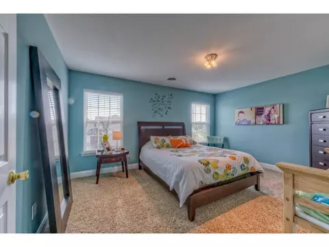 211 Ridgeview Meadows Drive Gray Tn 37615, Gray, TN 37615 photo 18
