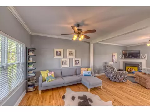 211 Ridgeview Meadows Drive Gray Tn 37615, Gray, TN 37615 photo 4