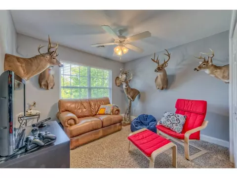 211 Ridgeview Meadows Drive Gray Tn 37615, Gray, TN 37615 photo 27