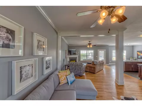 211 Ridgeview Meadows Drive Gray Tn 37615, Gray, TN 37615 photo 3