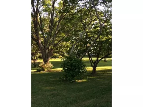 2856 Highway 81 Fall Branch Tn 37656, Fall Branch, TN 37656 photo 34
