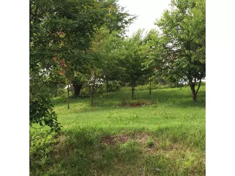 134 Good Road Fall Branch Tn 37656, Fall Branch, TN 37656 photo 17