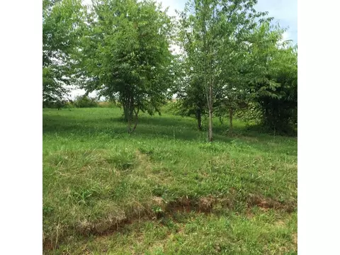 134 Good Road Fall Branch Tn 37656, Fall Branch, TN 37656 photo 18