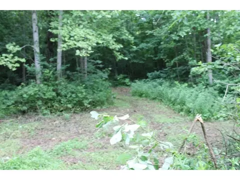 8453 Buchanan Road Glade Spring Va 24340, Glade Spring, VA 24340 photo 9