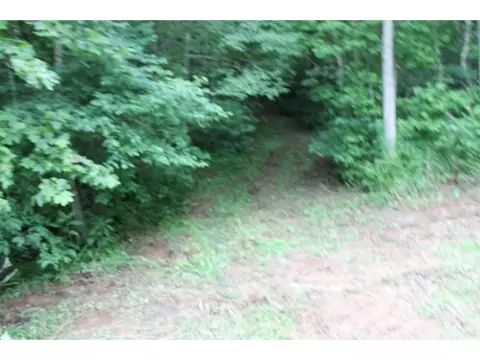 8453 Buchanan Road Glade Spring Va 24340, Glade Spring, VA 24340 photo 10