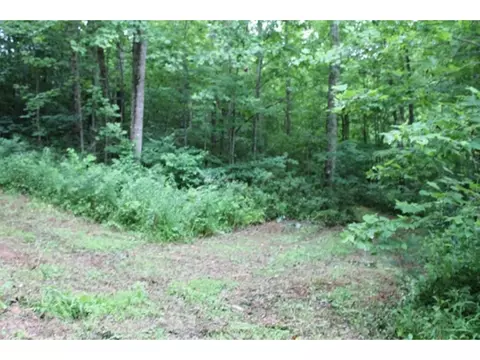 8453 Buchanan Road Glade Spring Va 24340, Glade Spring, VA 24340 photo 11