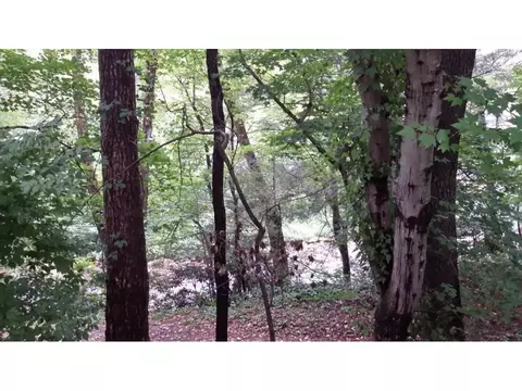 409 Rittertown Road Hampton Tn 37658, Hampton, TN 37658 photo 24