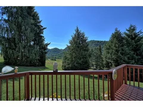 3734 Purchase Ridge Road Duffield Va 24244, Duffield, VA 24244 photo 7