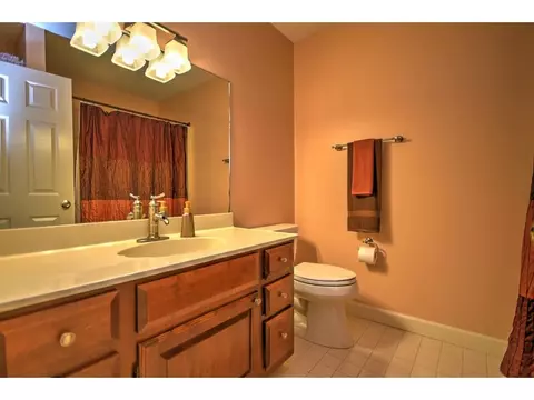 229 Shadowood Drive Johnson City Tn 37604, Johnson City, TN 37604 photo 25