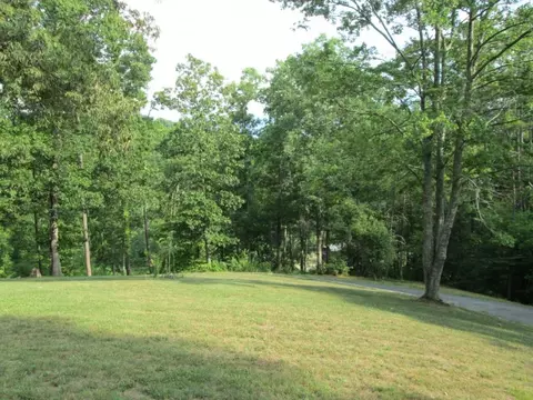 377 Horton Highway Fall Branch Tn 37656, Fall Branch, TN 37656 photo 25
