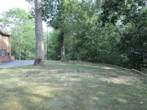 377 Horton Highway Fall Branch Tn 37656, Fall Branch, TN 37656 photo 26
