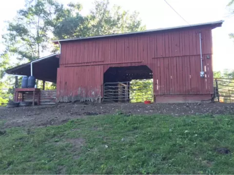 377 Horton Highway Fall Branch Tn 37656, Fall Branch, TN 37656 photo 31