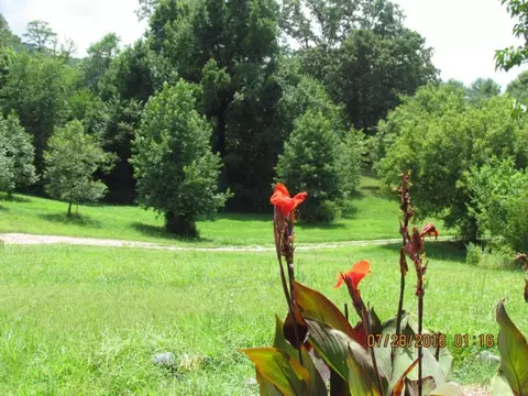 5 Cannon Chuckey Tn 37641, Chuckey, TN 37641 photo 15