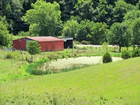 2129 Dulaney Road Greeneville Tn 37818, Mosheim, TN 37818 photo 34