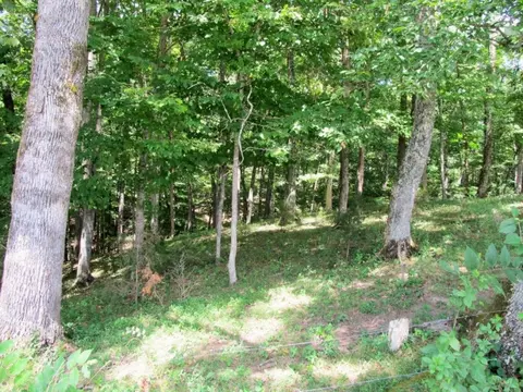 2129 Dulaney Road Greeneville Tn 37818, Mosheim, TN 37818 photo 32