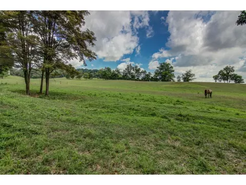 154 Keys Road Limestone Tn 37681, Limestone, TN 37681 photo 29