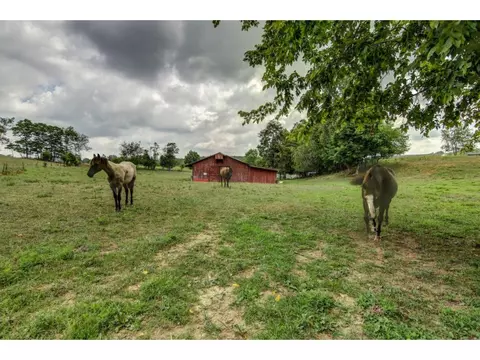 154 Keys Road Limestone Tn 37681, Limestone, TN 37681 photo 26