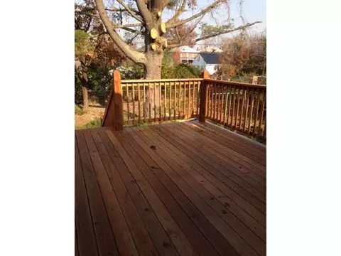 826 Pine Street Johnson City Tn 37604, Johnson City, TN 37604 photo 14