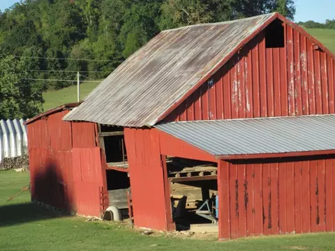 262 Shipley Road Gray Tn 37615, Gray, TN 37615 photo 23