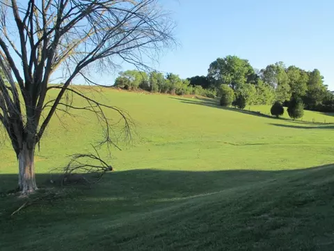 262 Shipley Road Gray Tn 37615, Gray, TN 37615 photo 20