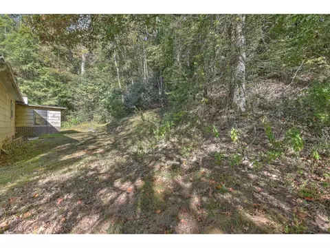 241 Chinquapin Road Erwin Tn 37650, Erwin, TN 37650 photo 34