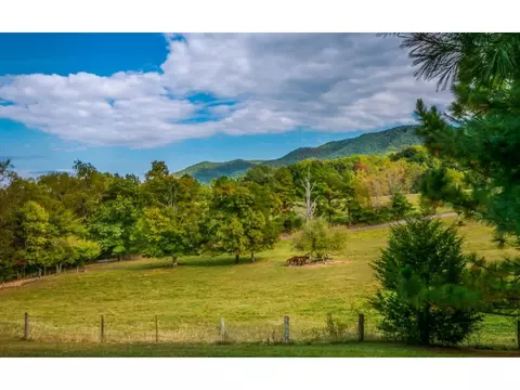 169 Bearfield Road Chuckey Tn 37641, Chuckey, TN 37641 photo 5