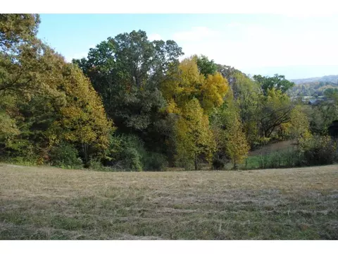 117 Poor Farm Road Greeneville Tn 37745, Greeneville, TN 37745 photo 30