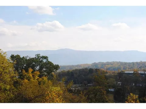 117 Poor Farm Road Greeneville Tn 37745, Greeneville, TN 37745 photo 22