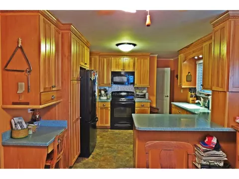 386 Blackley Creek Limestone Tn 37681, Limestone, TN 37681 photo 13