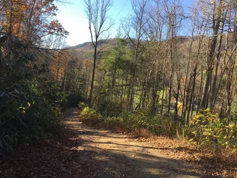 1514 Highway 321 Hampton Tn 37658, Hampton, TN 37658 photo 33