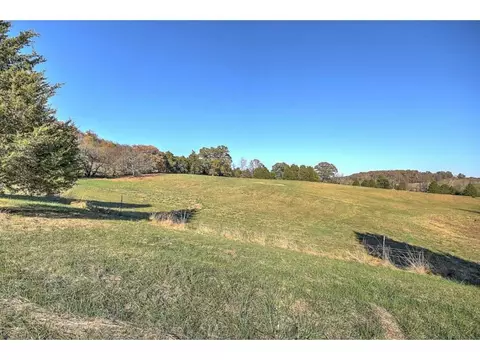 318 Patton Lane Limestone Tn 37681, Limestone, TN 37681 photo 29