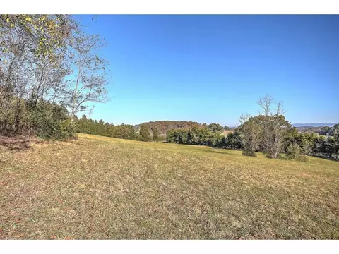 318 Patton Lane Limestone Tn 37681, Limestone, TN 37681 photo 33