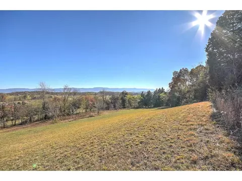 318 Patton Lane Limestone Tn 37681, Limestone, TN 37681 photo 34