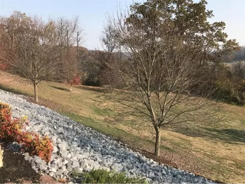 82 Ridges Court Chuckey Tn 37641, Chuckey, TN 37641 photo 26