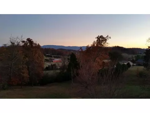 82 Ridges Court Chuckey Tn 37641, Chuckey, TN 37641 photo 31