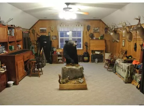 226 Bailey Hollow Road Erwin Tn 37650, Erwin, TN 37650 photo 23