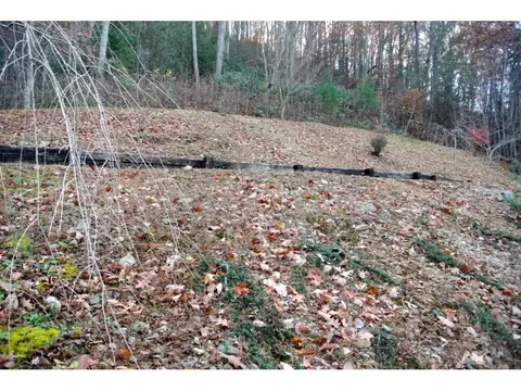 226 Bailey Hollow Road Erwin Tn 37650, Erwin, TN 37650 photo 9