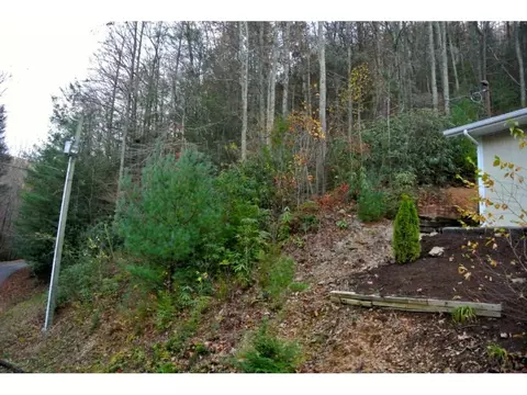 226 Bailey Hollow Road Erwin Tn 37650, Erwin, TN 37650 photo 10