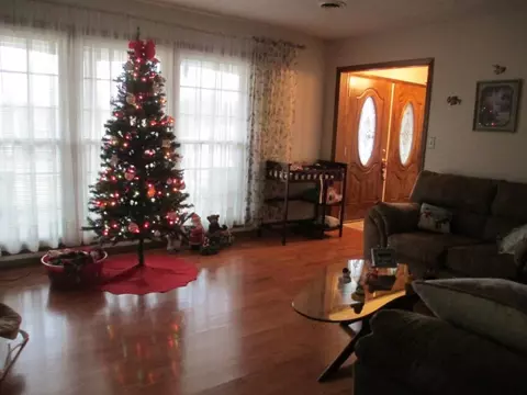 318 Hale Meade Gray Tn 37615, Gray, TN 37615 photo 3