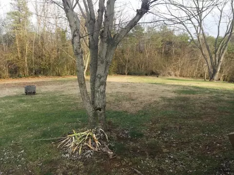 89 Schofield Greeneville Tn 37745, Greeneville, TN 37745 photo 17