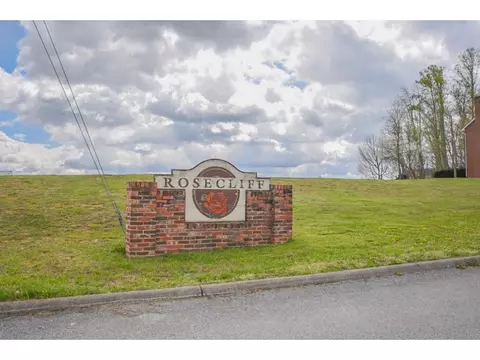 168 Rosecliff Fall Branch Tn 37656, Fall Branch, TN 37656 photo 2