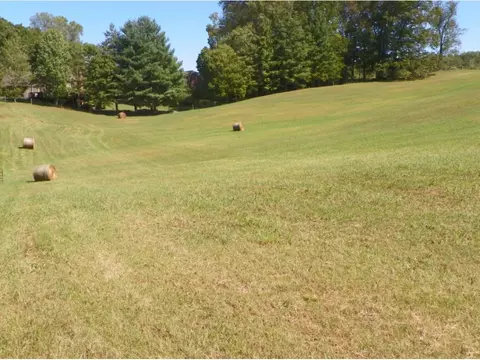 183 Hwy 93 Fall Branch Tn 37656, Fall Branch, TN 37656 photo 16