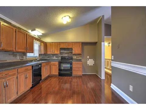 252 Springview Drive Gray Tn 37615, Gray, TN 37615 photo 12